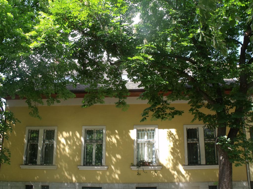 Adalbert Haz Budapest Ngoại thất bức ảnh